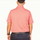 American Fit - JexflexPolos-Beau